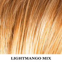 PARRUCCA DISC MONO PART CAPELLI LISCI CORTI