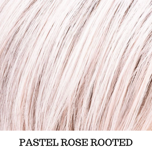 Rosa chiaro Pastel Rose rooted