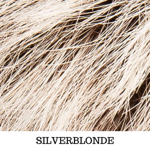 colore grigio argento silverblonde Rooted