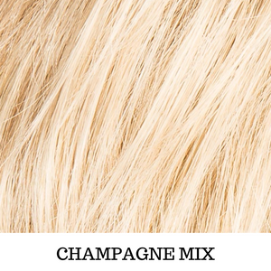 colore biondo chiaro champagne mix